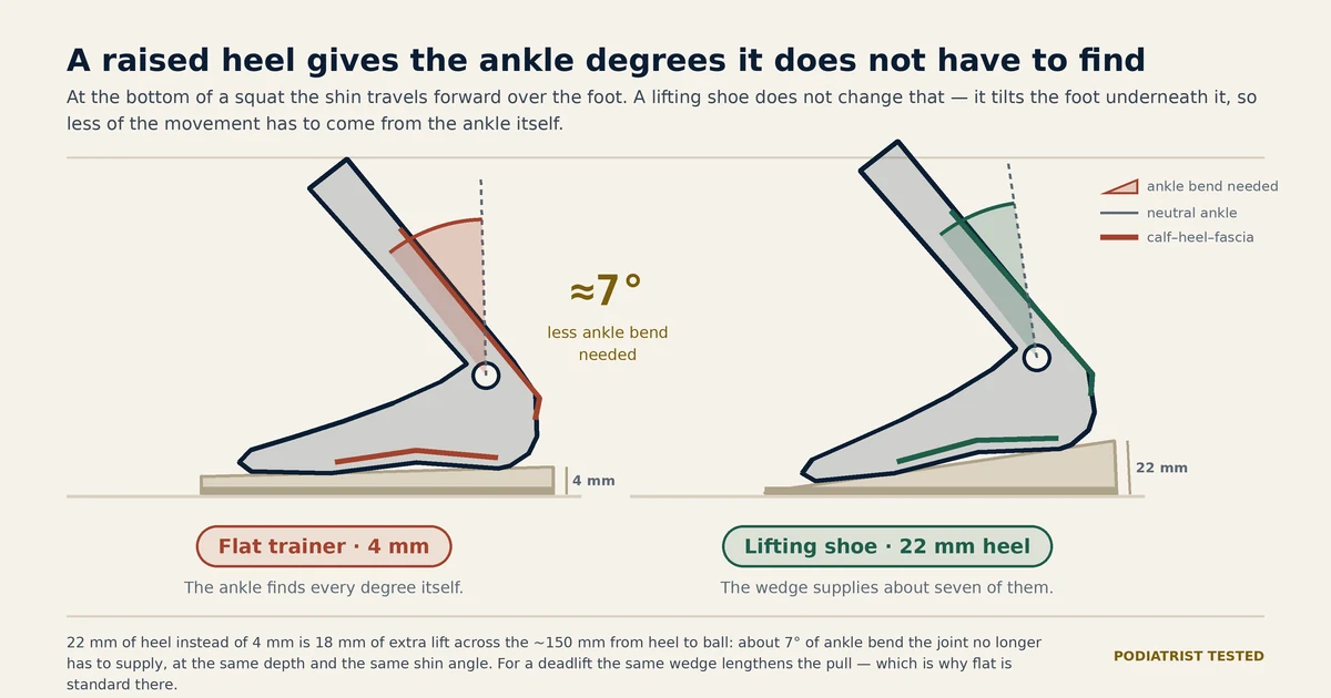 Side view of a lifter at the bottom of a squat in two shoes: in a flat 4 mm trainer the ankle is bent well past neutral, while a 22 mm heeled lifting shoe tilts the foot so the same squat needs about seven degrees less ankle bend
