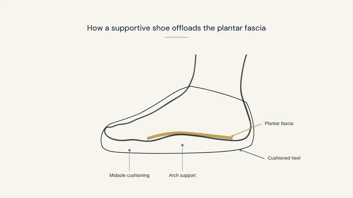 Side-view diagram of a foot inside a shoe with the plantar fascia highlighted along the underside of the arch