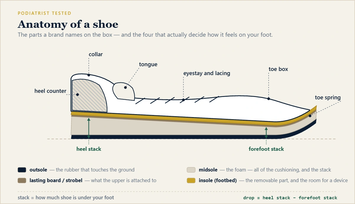 Labelled cross-section of a running shoe showing the collar, heel counter, tongue, eyestay and lacing, toe box and toe spring on the upper, and the insole, lasting board, midsole and outsole beneath, with heel stack and forefoot stack marked.