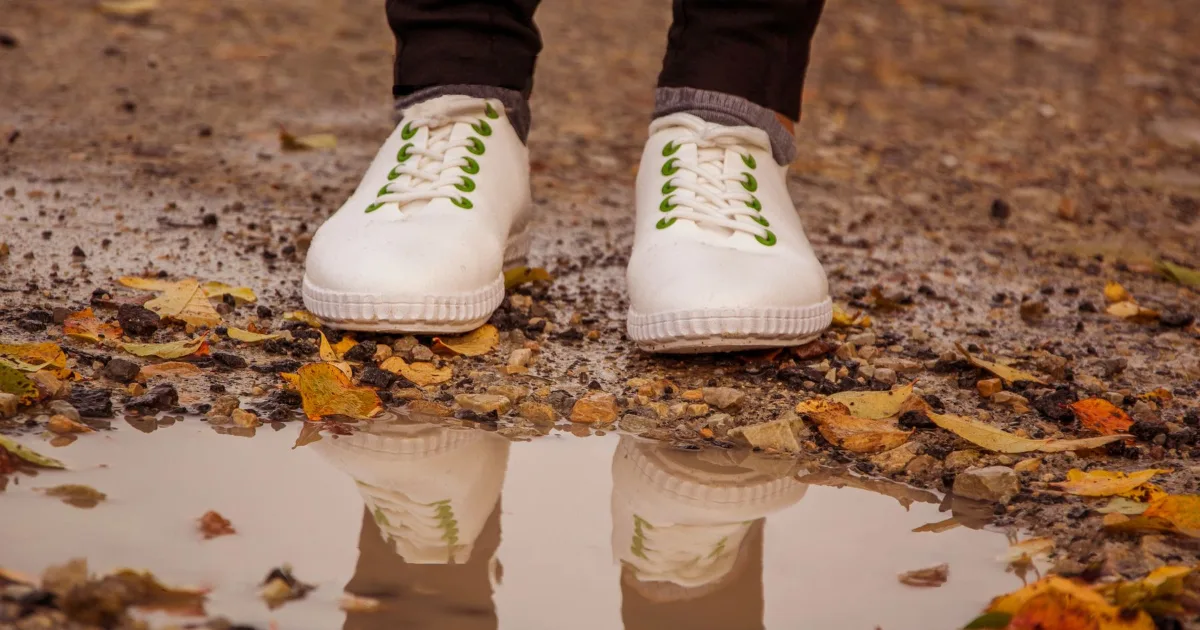 White low-top walking shoes standing at the edge of a rain puddle on a leaf-covered path.
