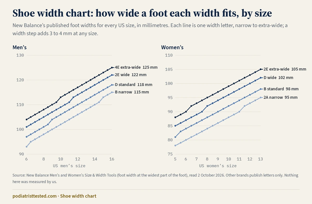 Shoe width chart by size: line charts of New Balance’s published foot widths. Men’s sizes 6 to 16: B narrow from 93 to 115 mm, D standard 97 to 118 mm, 2E wide 101 to 122 mm, 4E extra-wide 104 to 125 mm. Women’s sizes 5 to 13: 2A narrow 78 to 95 mm, B standard 81 to 98 mm, D wide 85 to 102 mm, 2E extra-wide 88 to 105 mm.